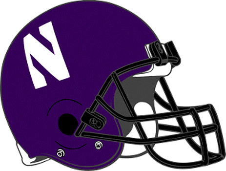 Northwestern Wildcats 1994-Pres Helmet Logo DIY iron on transfer (heat transfer)